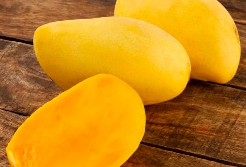 Concentrado de Mango